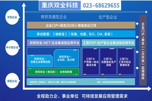 彭水地區生產型企業管理制度優化 基于重慶管家婆軟件的二次開發實踐